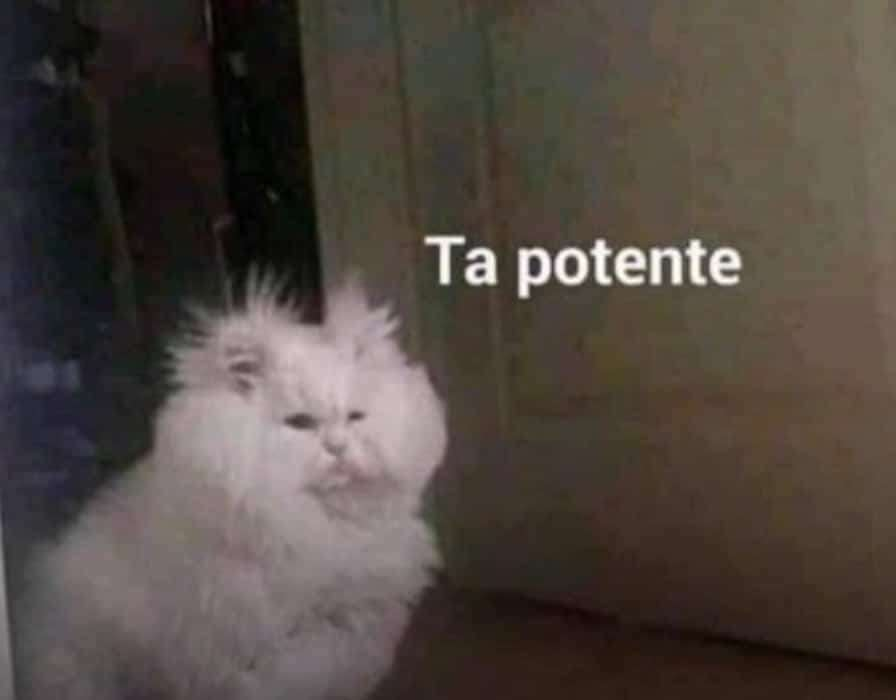 unknown.png